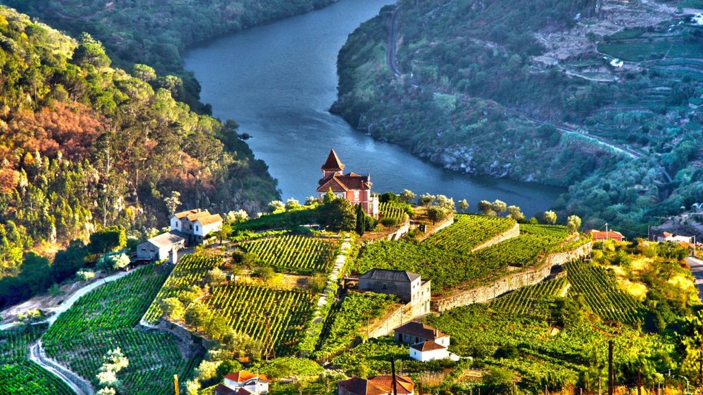 NORTHERN SPAIN & PORTUGAL – PISTONS AND TRAINS IN THE DOURO