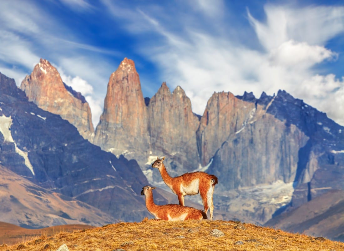 Buenos Aires, Patagonia & Eisteddfod Trelew